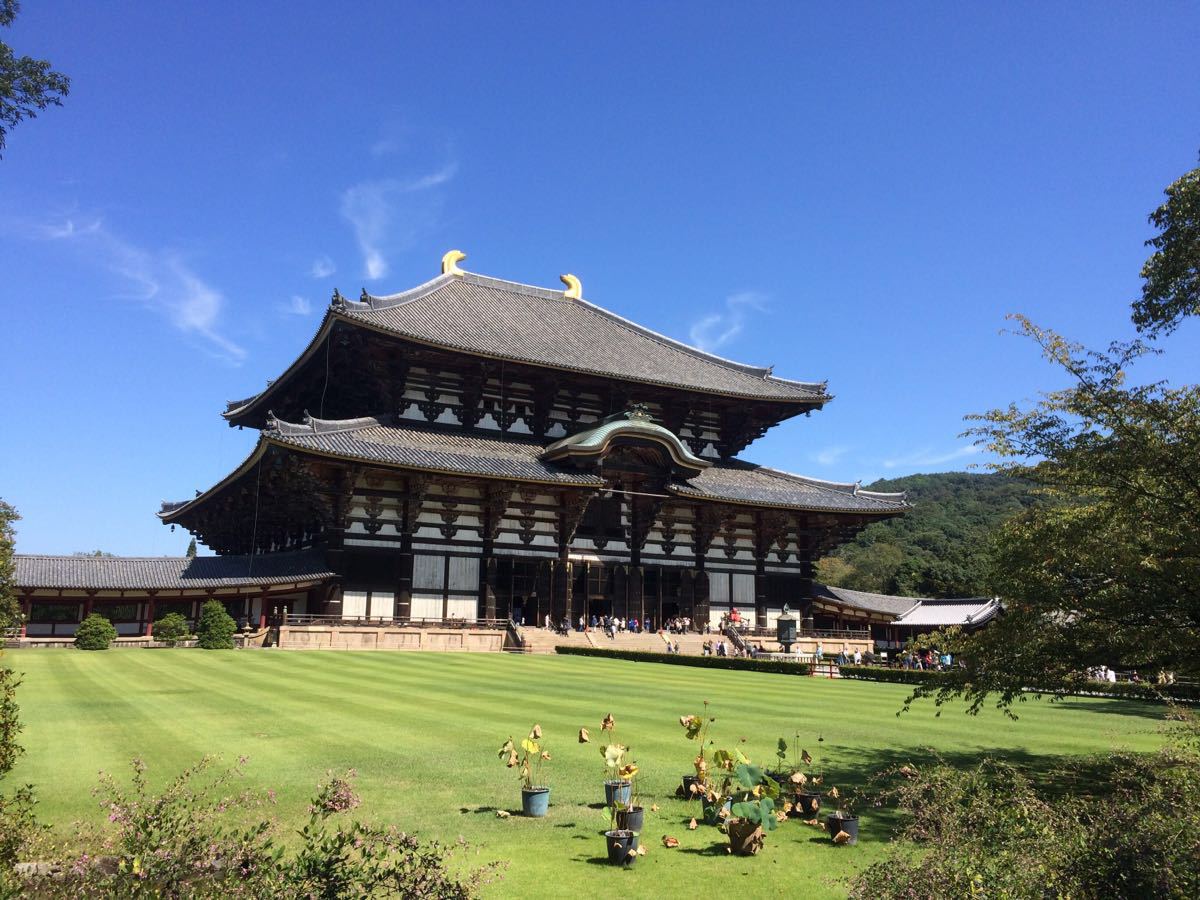 日本奈良 京都一日游(4人散拼成团或组团包车,可上门接送)