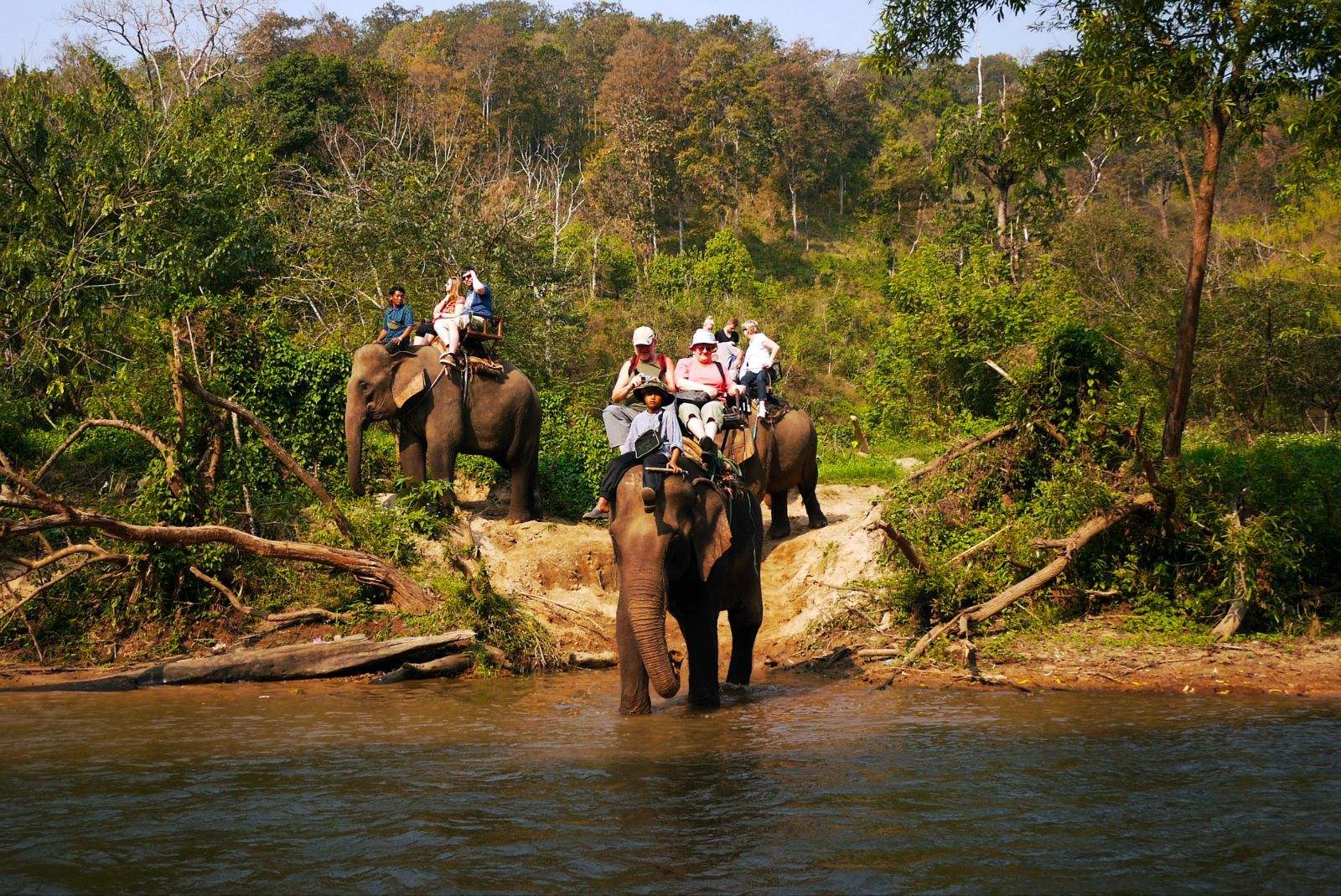「泰国清迈跟团游还是自由行」✅ 泰国清迈跟团游还是自由行旅游