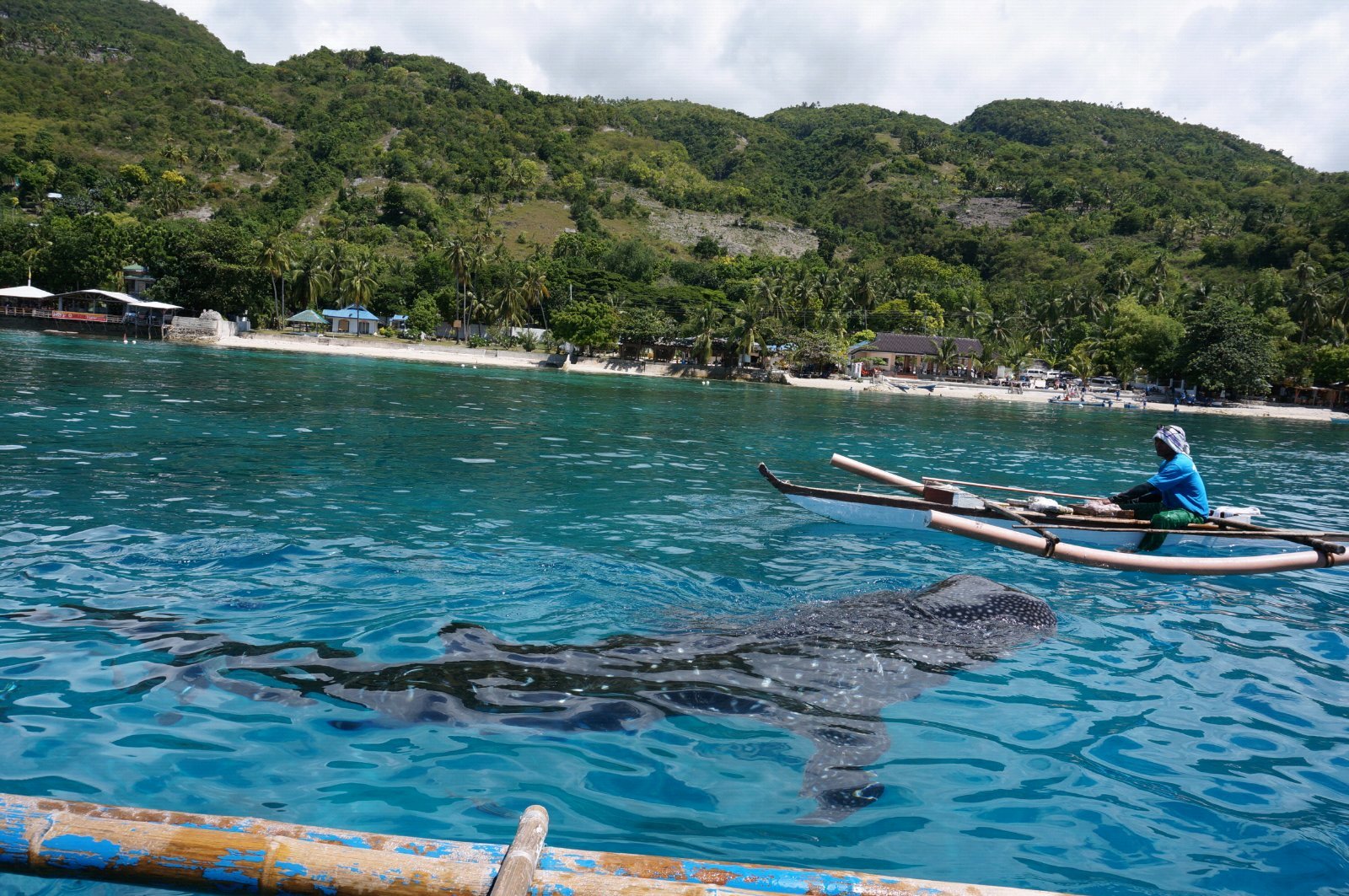 杜马盖地5晚7天自由行(5j,埃森西亚酒店或同级三星)