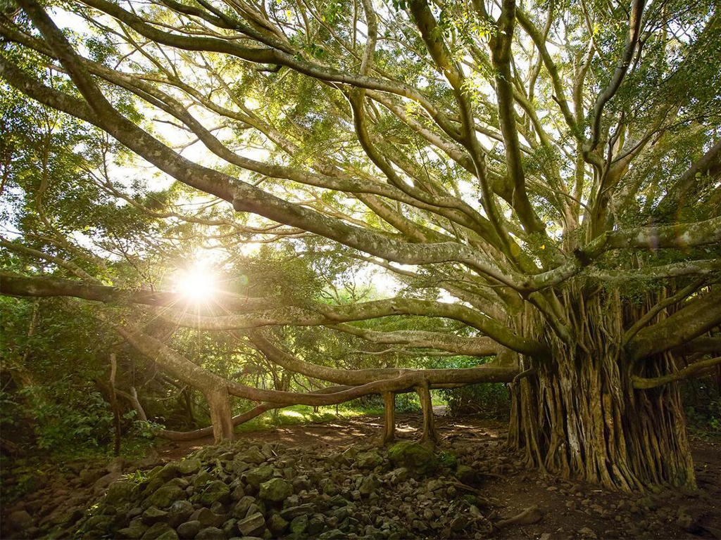 墨西哥 古巴品质9晚12日游