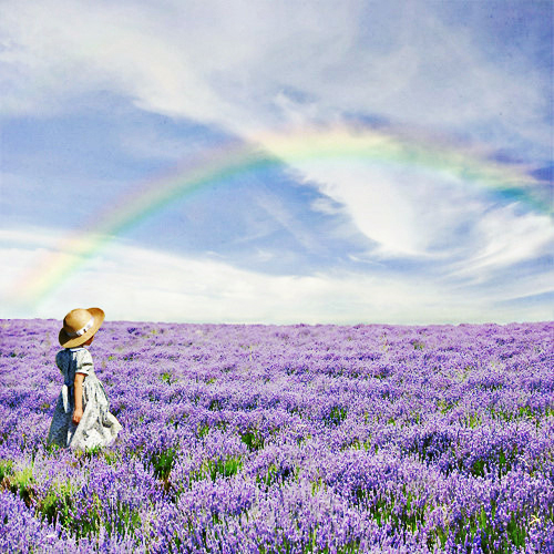 法国薰衣草送过小火车7晚9日浪漫之旅(ca,8座奔驰商务车,6人私房小团)