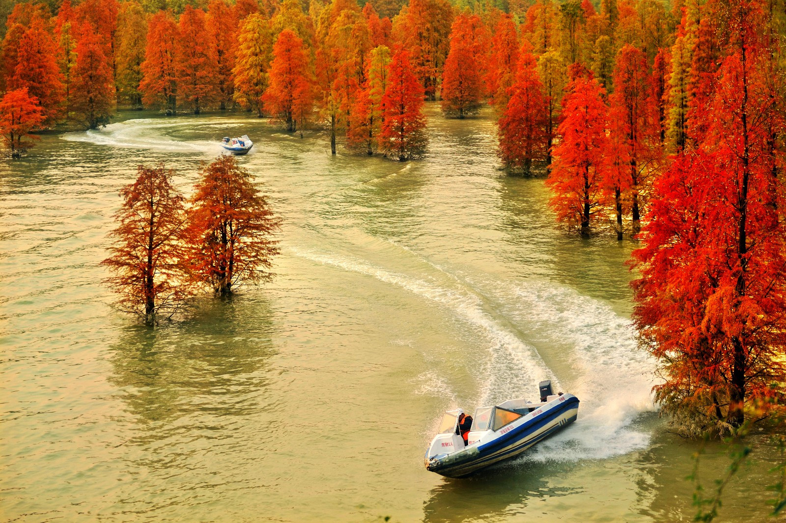 青山湖景区(含船),住临安悦景假日酒店1晚2日自驾游