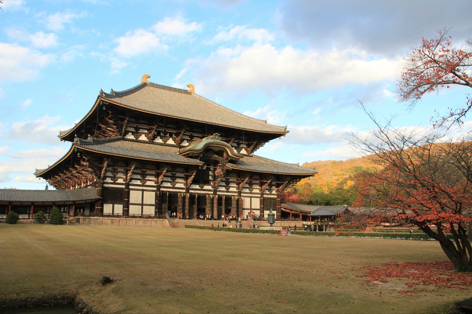 【纯玩私家团】本州7晚8日游(2人起订1单1团 铁发直飞 阪进东出 市区4