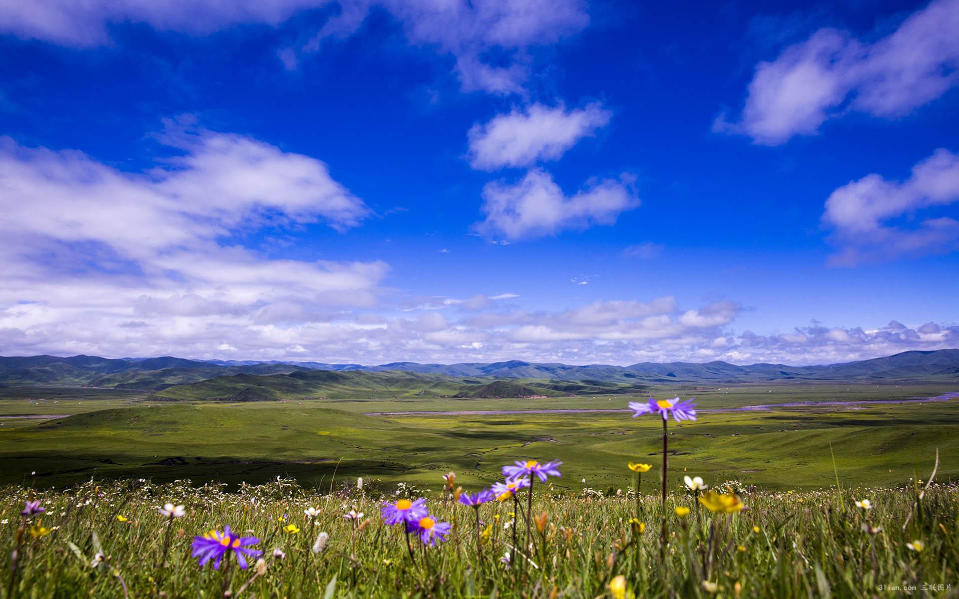 成都,九寨沟,黄龙,若尔盖镰刀坝大草原,尚谷水乡5晚6日游(双飞,承诺0
