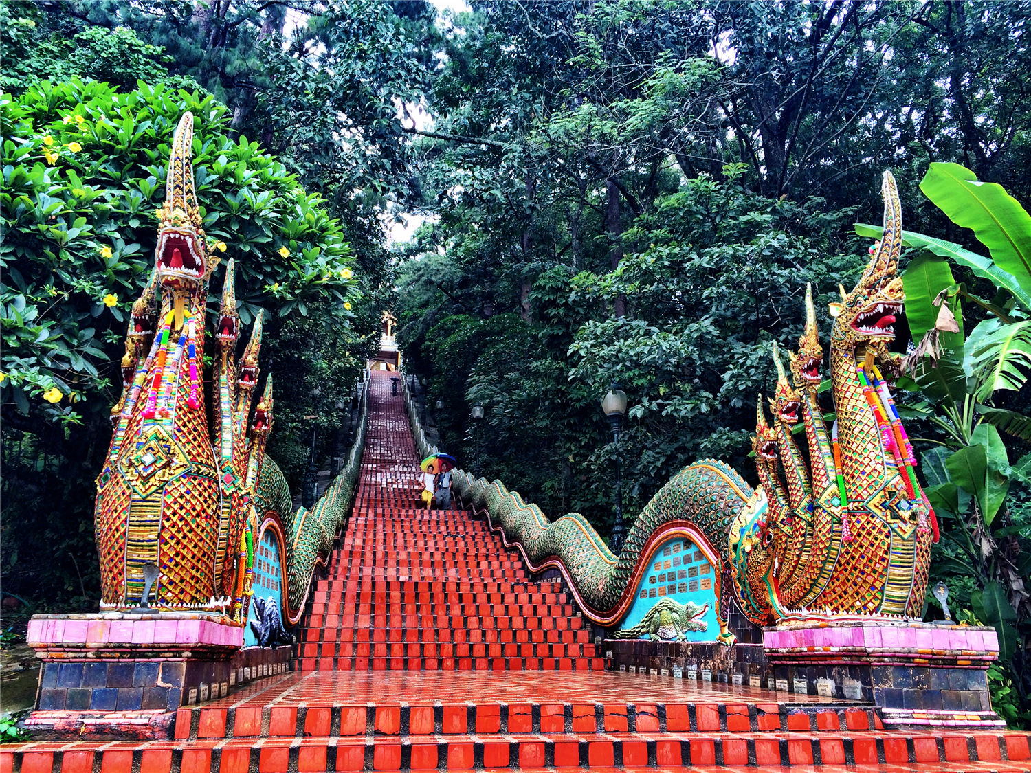 午餐:清莱 艾美酒店自助餐(5星)