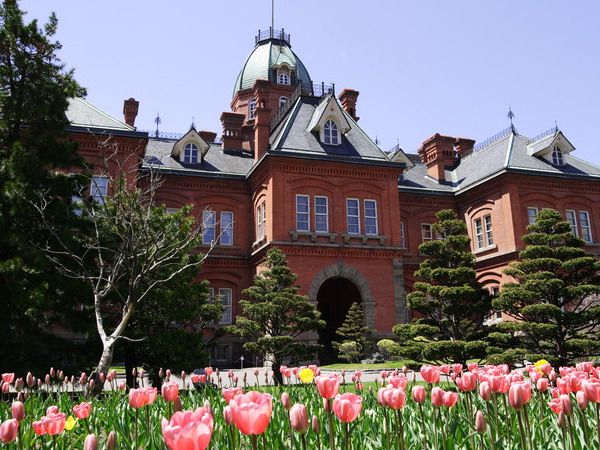 【暑期】日本北海道 东京5晚6日游(cz阪东,东京1天自由,精选网评4-5
