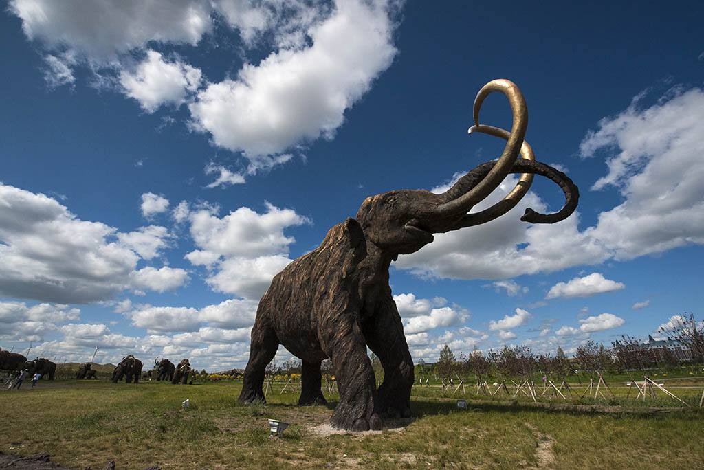 【暑期】【奢华版】臻享草原穿越呼伦贝尔30年—传奇私人牧场,猛犸象