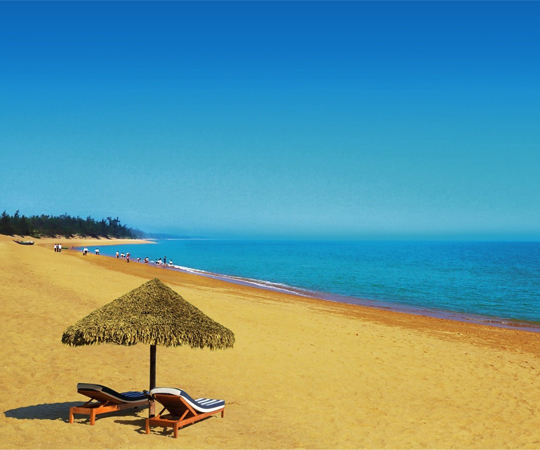 旅游产品导航 更多