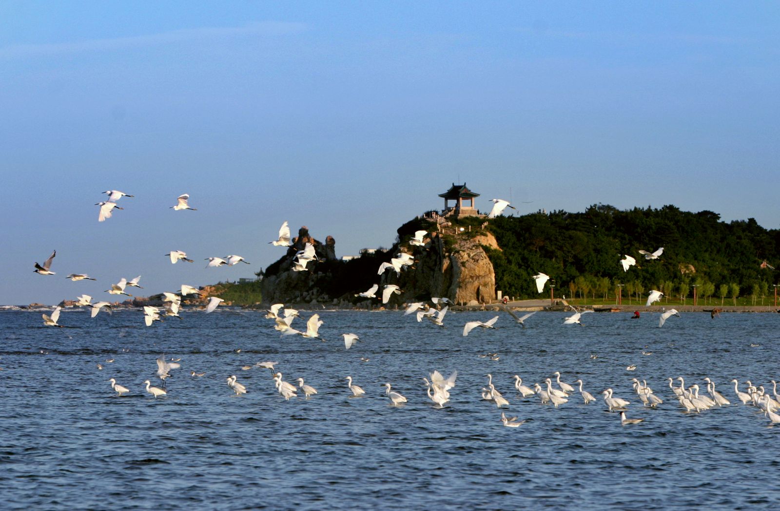 【冰爽夏日】北戴河,山海关,黄金海岸5日游(高铁往返,品质纯玩不进店