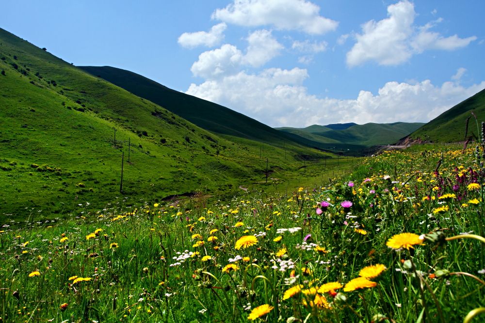 兰州 青海湖 茶卡盐湖 拉扑楞寺 甘南草原 金银滩草原 原子城纪念馆