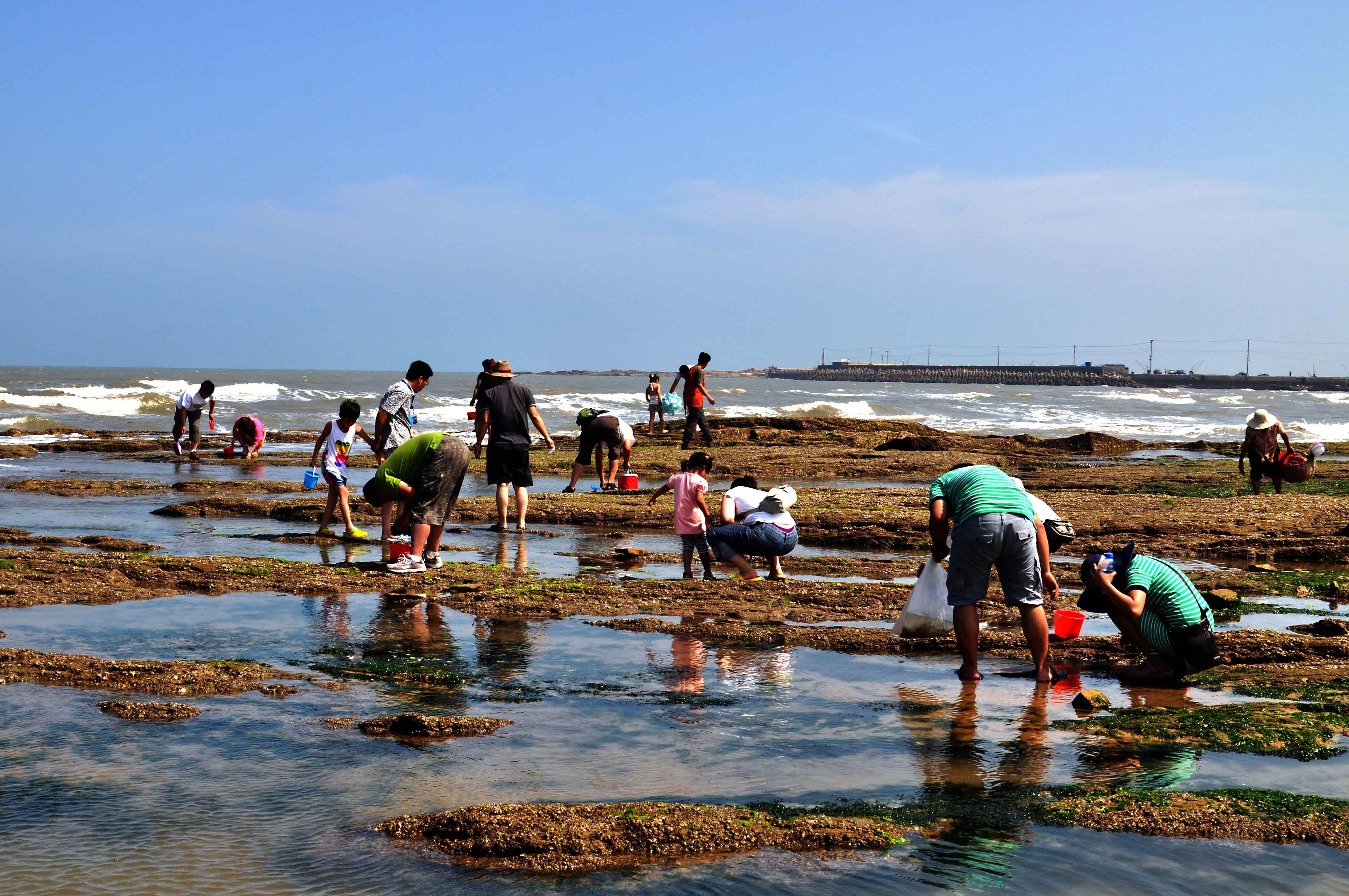 【萌娃总动员】云顶天空之城,赶海拾贝,打卡网红福道,快乐小茶农,贝壳